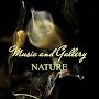 @musicandgallery-nature