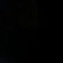 @moonlight-727