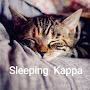 @SleepingKappaRelaxMusic