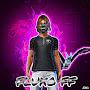 @FLUXO_FF_12