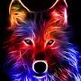 @wolfheart1591