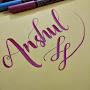 @anshanshul34