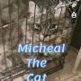 @michealthecat3773