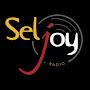 @seljoypro
