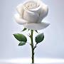 @MargaretRose25Feb