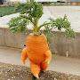 @ARealCarrotsaurus