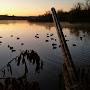 @midwestduckslayer5896