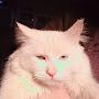 @عسكري-ش3ح