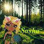@sashalike5065