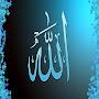 @hamza3350-w6e
