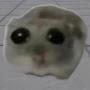 @Sunny_Hamster