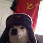 @slowestdespacitov8207