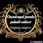 @chandrapaljamolapahadiculture