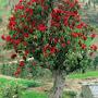 @DevKumar-b5t1u