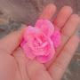 @meenal7285