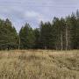 @Мирноенебо-ъ5з