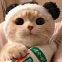 @Djej18e83i2dj