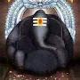 @pbharathibai2280