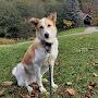 @be.kind.to.animals