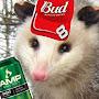 @YourLocalHickPossum