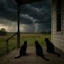 @blackcatsbitterbone