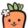 @carrotessay