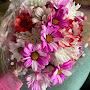@Cathyfoxnb8kn2kq6w