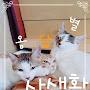 @손민아-w7t