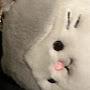 @광기-f7t