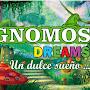 @gnomoskids1729