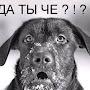 @свояколея-э8ь