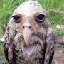 @tw_venter0e787