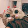 @Unknown-3680-Dp