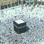 @mariamm8981
