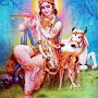 @bhattunagaraju7319