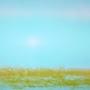 @ralfrath-new