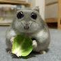 @charlenelouise1589