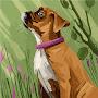 @ExcitedBoxer-fq8we