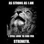 @truebeardedlion8619