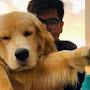 @advshubhamkumar