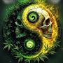 @lildannybogart420