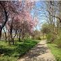 @anezkawijsman5338