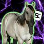 @Equestrian_Obsessed_Edits