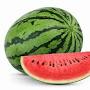 @watermelon-q5k-r5u