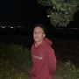 @mostafaaref1304