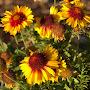 @Sustainabilitynaturelife