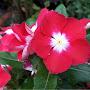 @yongburmkim9656