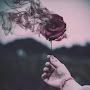 @mohammadfarooq1510
