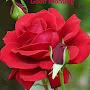 @NaveenKumar-sw4fp
