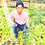 @keshargurung8063